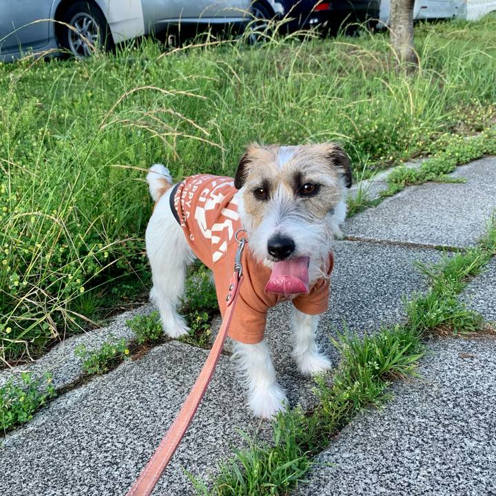 D1abe33b 7e1c 4b01 bb24 1c0994be9fa1 1621775823437