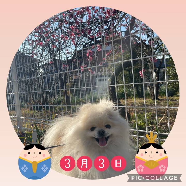 D1abf6b1 735e 48e5 a2ad a6d9e35e924c 1646301777677