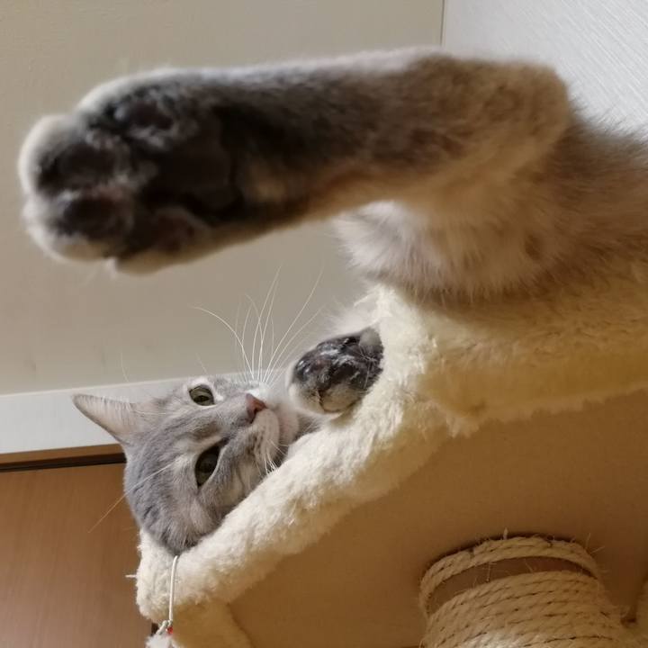 D1ac0b02 1b9c 4bf8 9cea f2793d778058 1548459631632