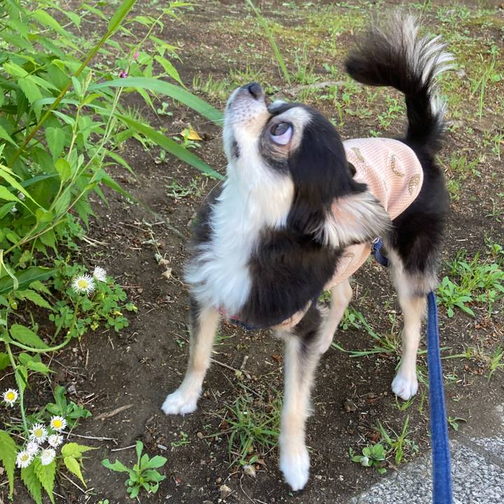 D1ac5cff 6b02 42b1 900e 6503d989397b 1683087760115