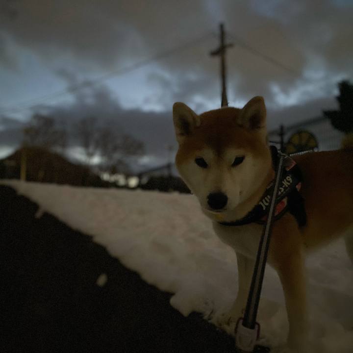 D1ac8d4c e676 4cb0 8189 e79e148a2aca 1608626305292