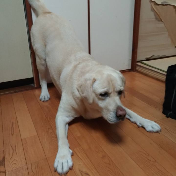 D1acdd32 ddd2 4914 99d4 3e9e04eb5131 1632052127321