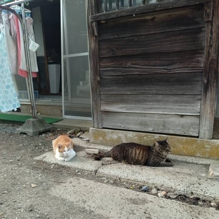 D1acec2b 53f5 4463 82ad 31cb95056ea1 1753090158197