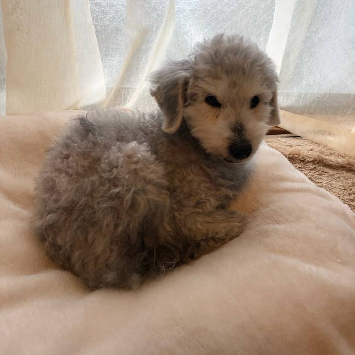 D1ad020f edb0 409e 8373 843fb1875ab0 1647560966599