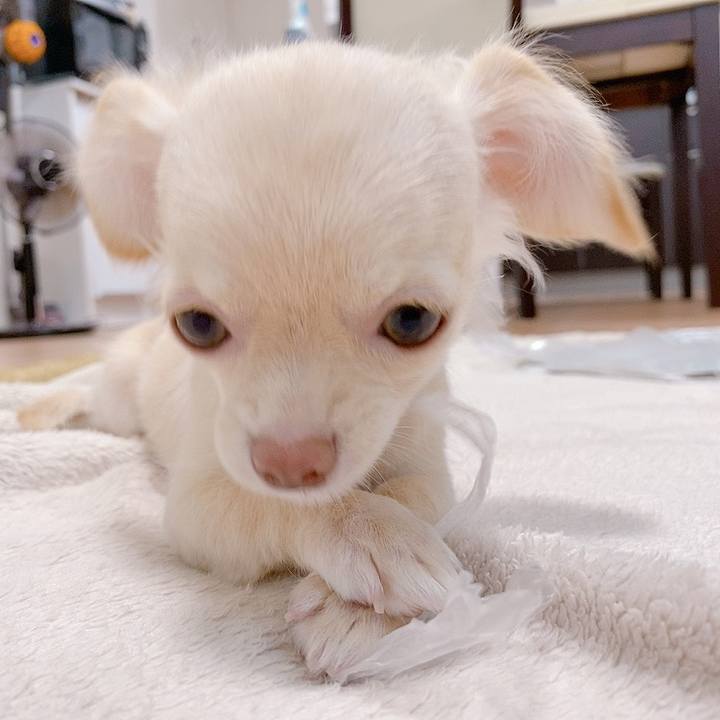 D1ad2695 00c3 48f9 abd6 f0927003482e 1592528778770