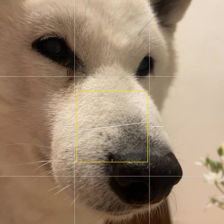 D1ad35d4 daad 4b92 b42b a640073ac956 1714055207557