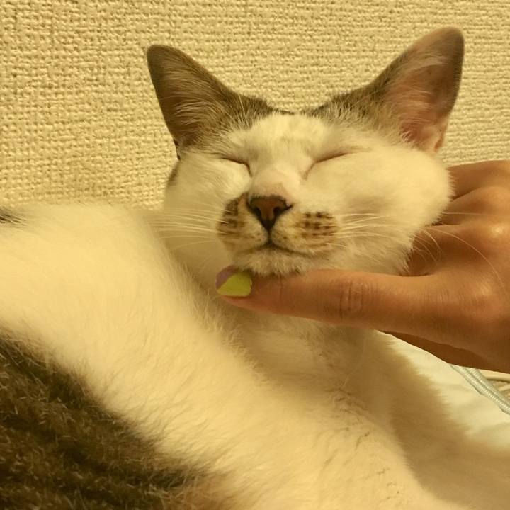 D1ad688b 1bd0 4f34 a74a 9643e1eff53f 1532957185683