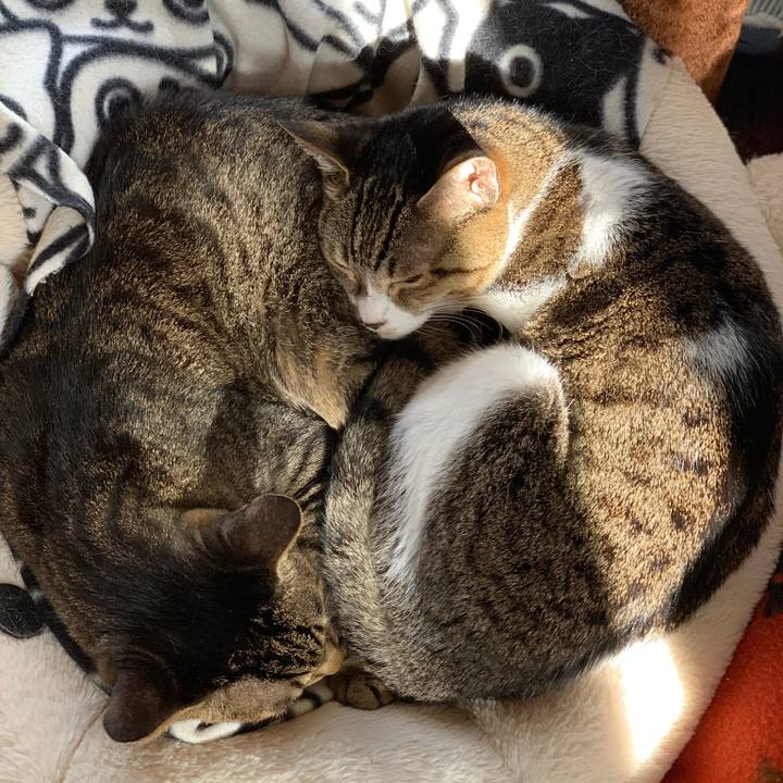 D1ad74ff f69e 490e 9f0a d667681ad42f 1574386224975