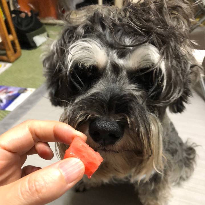 D1ad8909 56d9 4a5d b4b8 5bf5b499f394 1566053020743