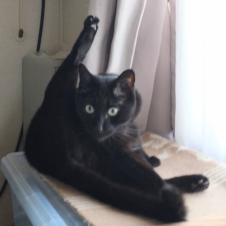 D1ad9e1c 18d4 4ab3 b451 939ed552d2eb 1666410906177