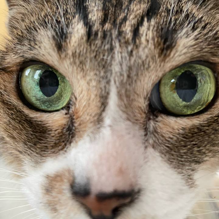 D1adc4f7 abd8 4c1b 997a 02b6a7f16873 1653701395590