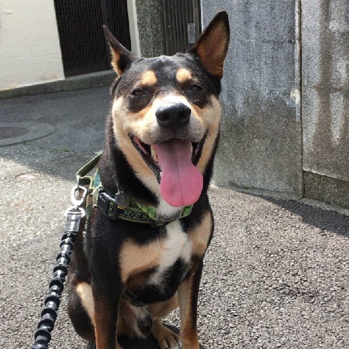 D1adf541 8349 4296 9fc7 998aab8cf9f9 1563352084377