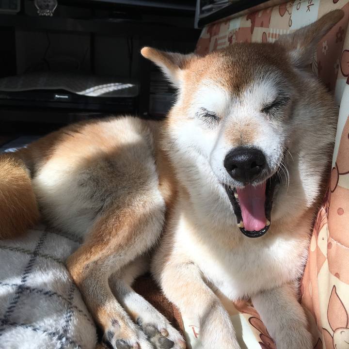 D1ae3cb4 3685 4ede b8fd c3b2f366a10b 1509672514743