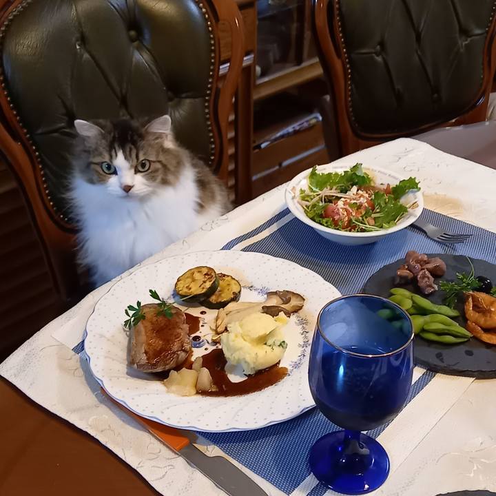 D1ae6312 503c 4780 ad29 9b717c4e2a99 1629028295118