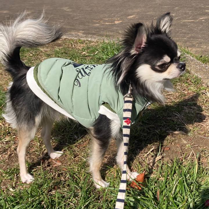 D1ae65a5 65b3 439f b68b 170df13cebdb 1613279180495