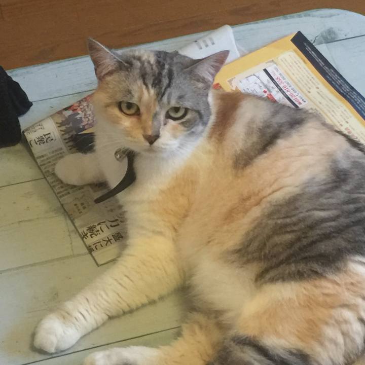 D1aebbf4 0ab3 4dfd a2fe 8656b4bc744f 1562144517266