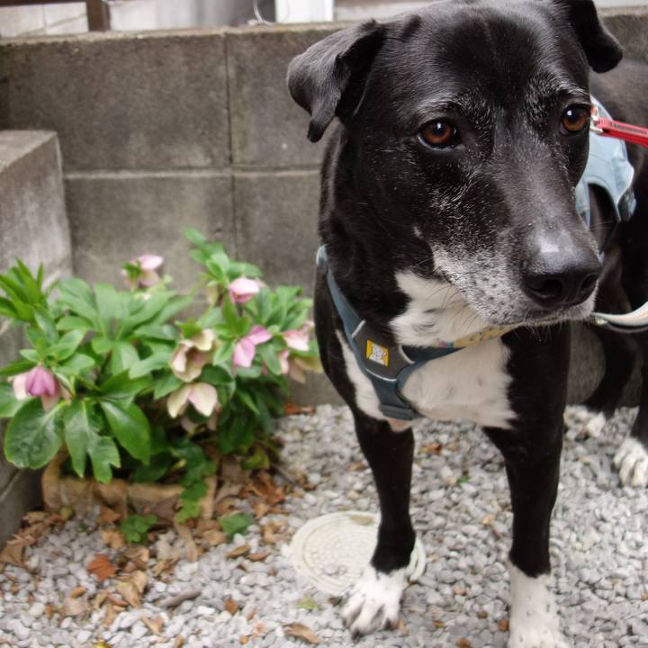 D1af0e03 6e92 4cba ab9f f24d2923020f 1742778185637