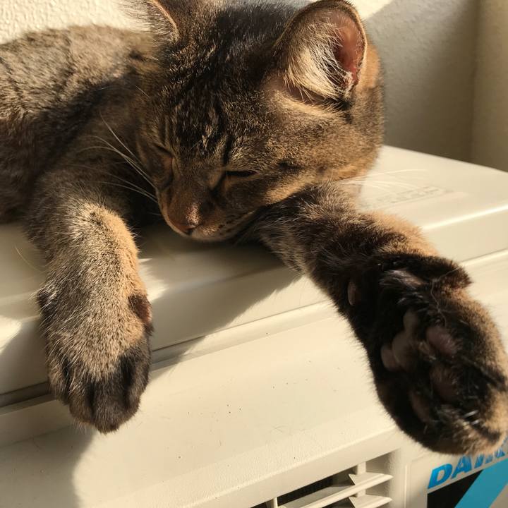 D1af12fe ac77 4c67 b887 e2448539b836 1572842361538