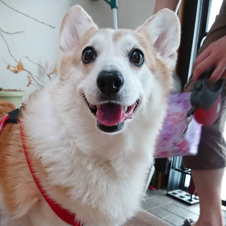 D1af2242 b2a8 4199 b5e7 88107e2f076a 1772881252348