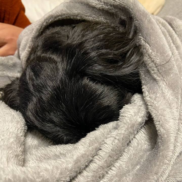 D1af6c0f 0951 4781 bc5b 91beb68b69d5 1584275015380