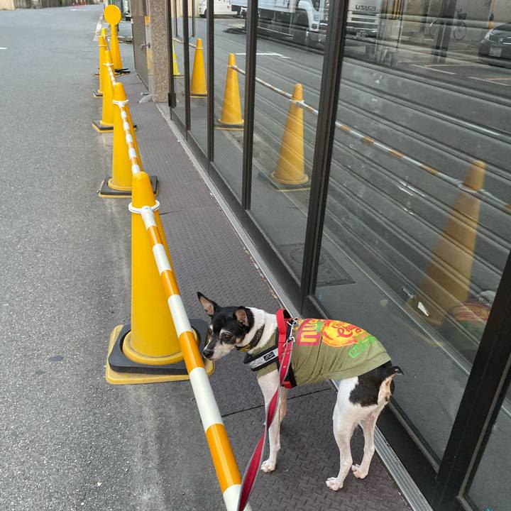 D1af6fff 7c4a 40f8 a4ed 79cdd9568c68 1573080852787