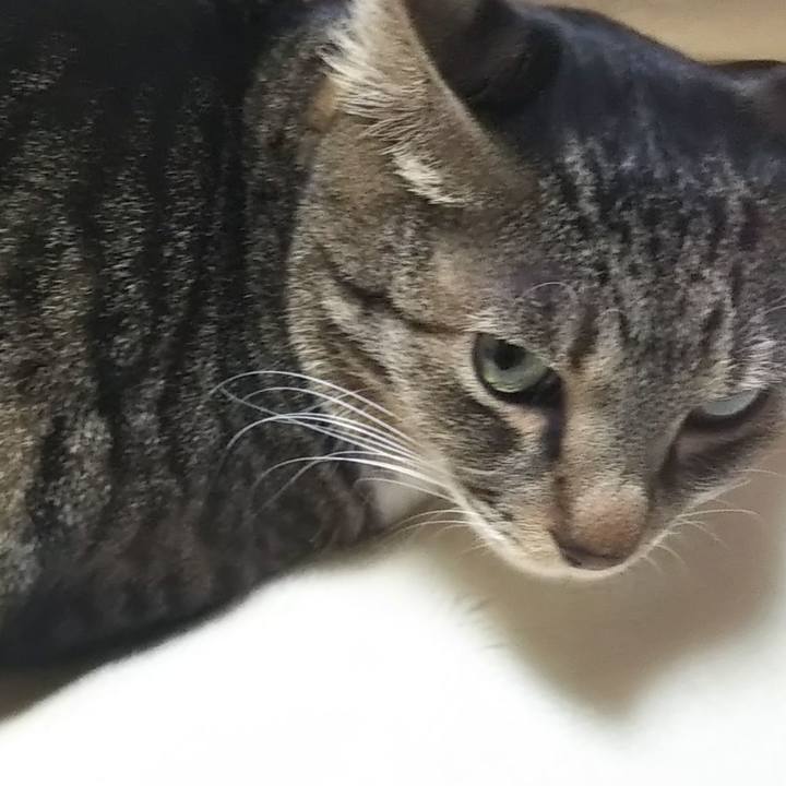 D1af7006 8922 4ca3 8f7f 81ec4957fab1 1607682430368