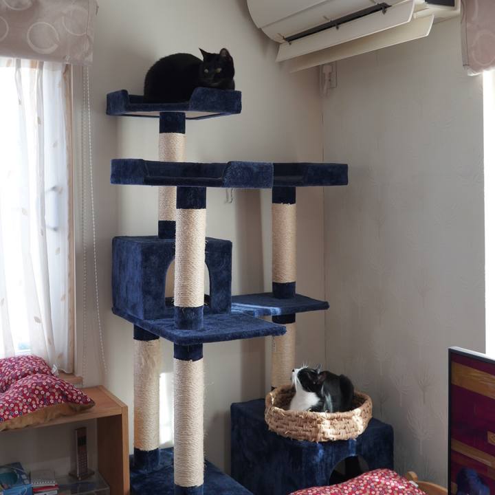 D1af8c02 e41f 40f3 b151 5be430722e8e 1608474267066