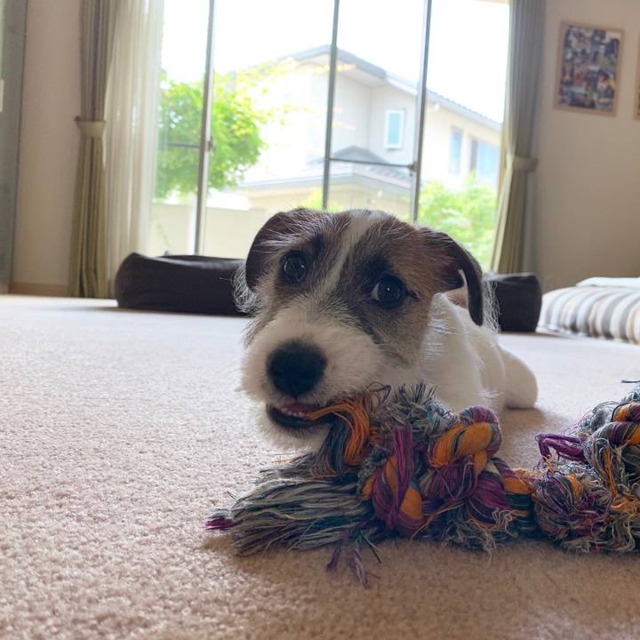 D1afda7d 4bc6 466c 9bb8 cc6e64ebc8d4 1561518928082