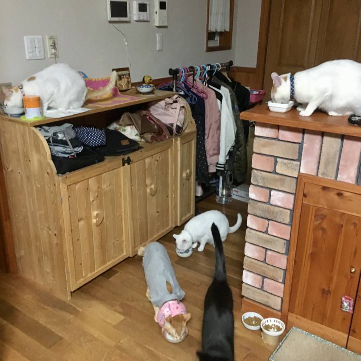 D1b03758 23d7 4278 952f e6e1c44fb76b 1527344850817