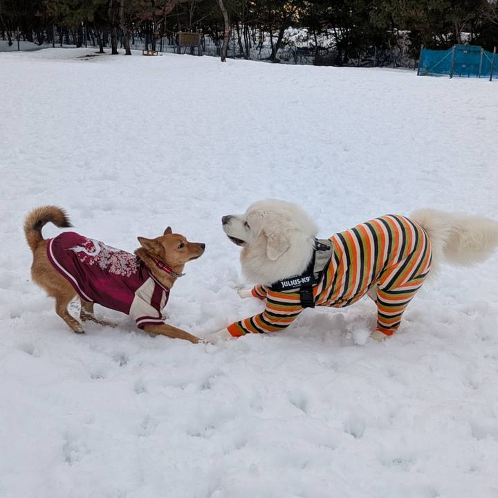 D1b08f54 58b5 40c2 a34b 669e860163a4 1770460768458