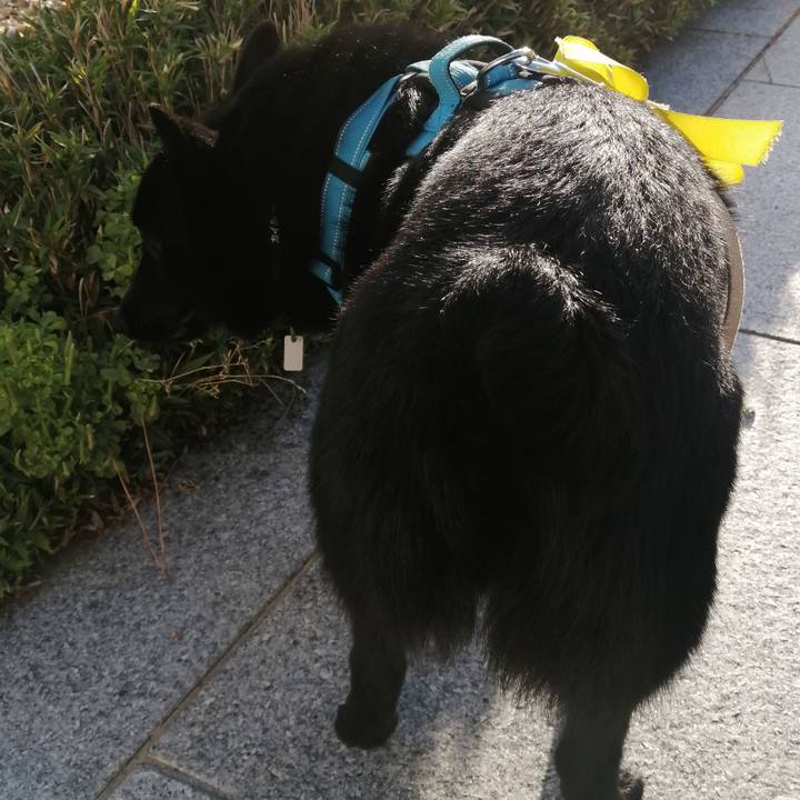 D1b098bf d867 4999 b392 b4dfc69e6b6f 1654637197114