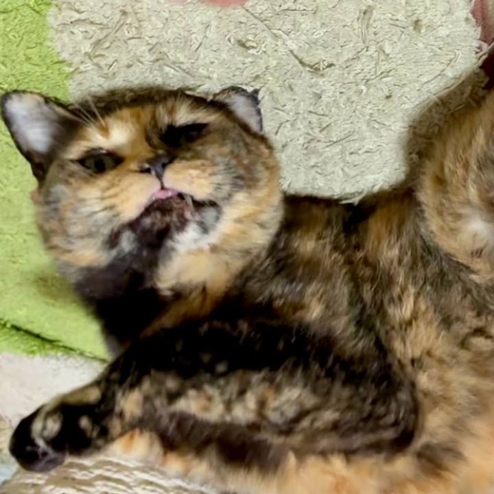 D1b0f05d 20e1 41a5 b0d5 0f27afb19667 1749936212868