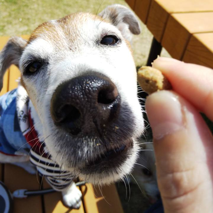 D1b0fdc7 827b 423c a08c f229e126e979 1526165293848