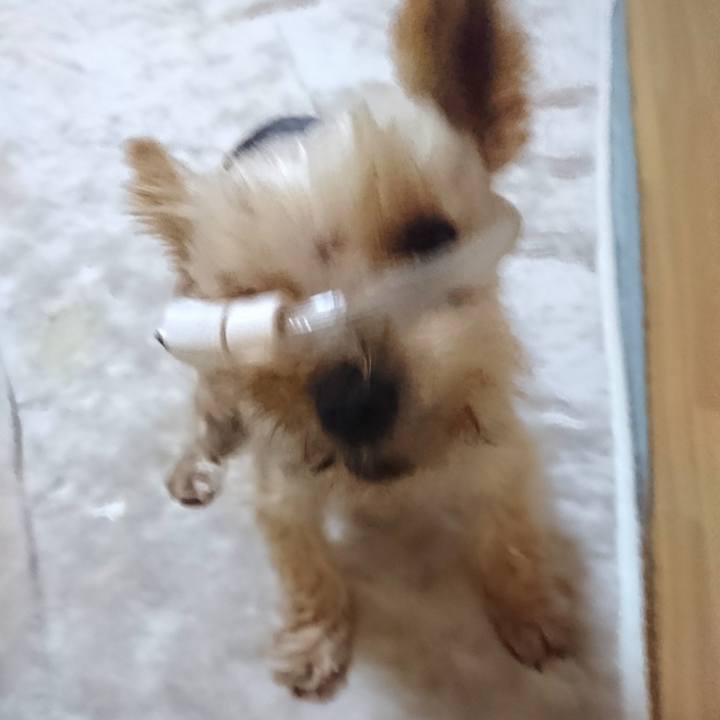 D1b10d9a b470 469e 82c0 084c8d431b6c 1538051304712