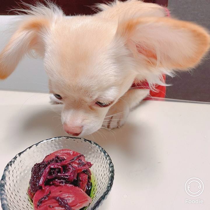 D1b11820 257f 46c1 b9b4 406a87f8287a 1606218582355