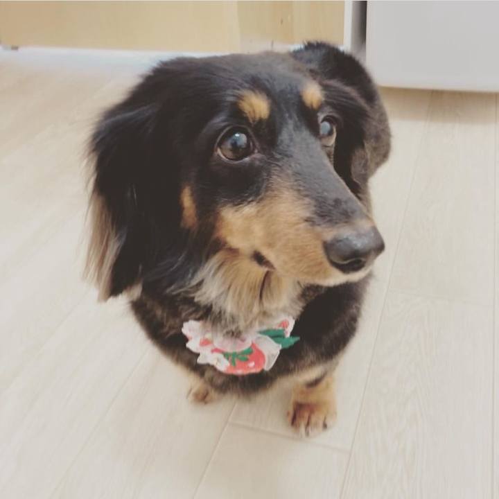 D1b122a5 31a6 4477 ae97 69f303fb5412 1652680876919