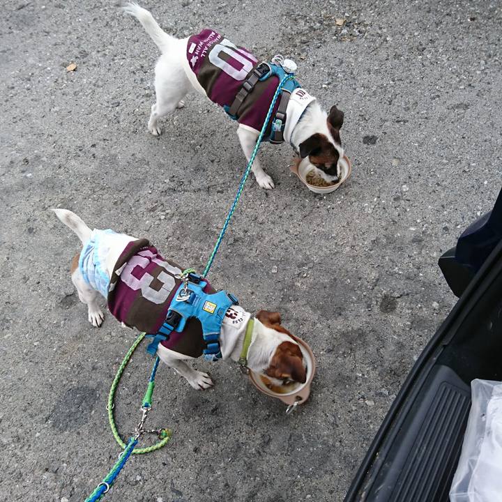 D1b166e0 17e5 4187 8430 3a4046658dfd 1600639621403