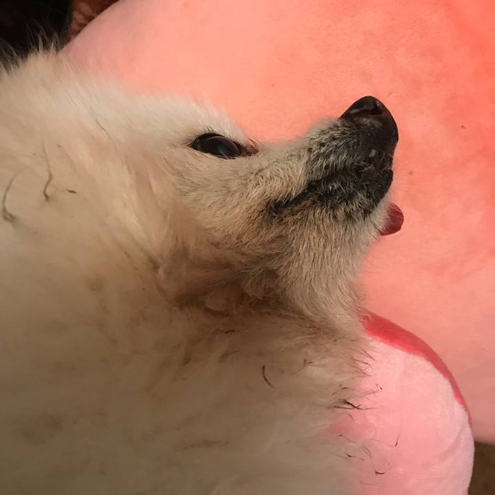 D1b17c99 6357 4d14 9996 ec484c32b94d 1526029422334