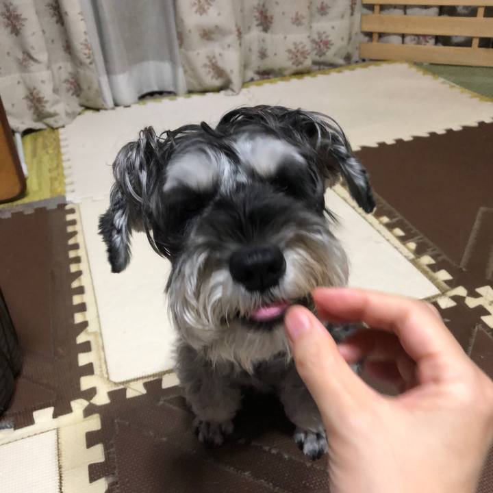 D1b21e19 6955 49c0 9f1e 804789c1e9d6 1662035396735