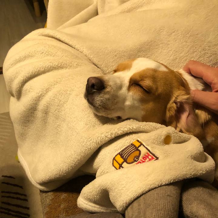 D1b264ab d378 418d b961 3a06c123ee95 1579436911029