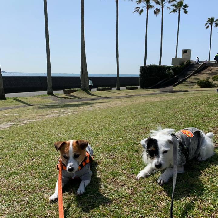 D1b2ad91 d769 4c07 a6b4 0b261f53cd1f 1584775501661