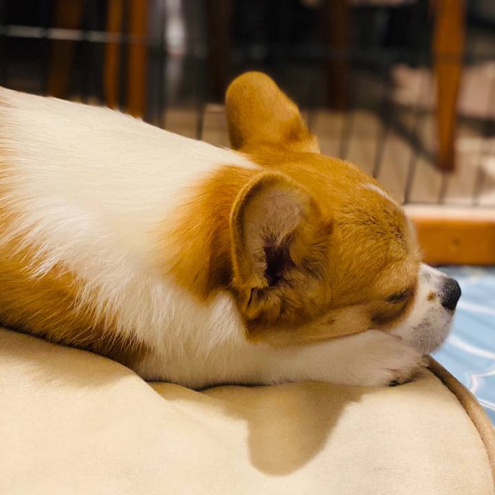 D1b2c228 bf32 4011 87d3 5059390295a9 1588345721940