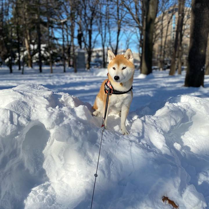 D1b2e100 96a4 40bd b3e1 f5a43f990318 1610243317098