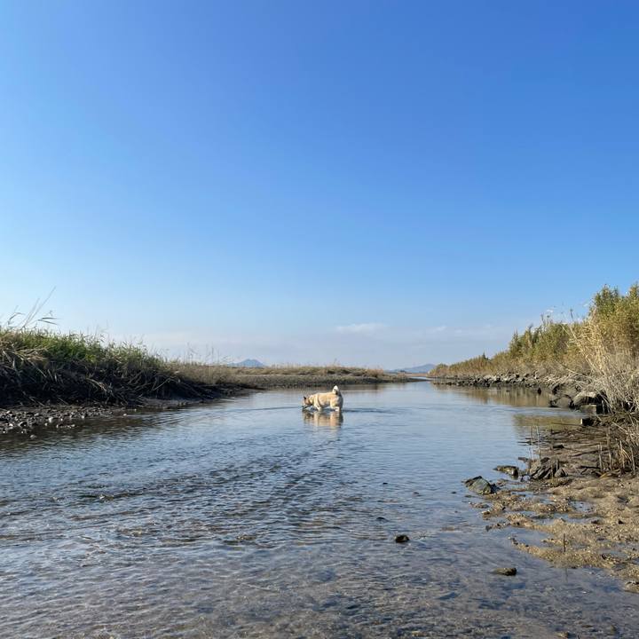 D1b2e1d7 ef97 4217 ad74 895e93815238 1702210247772