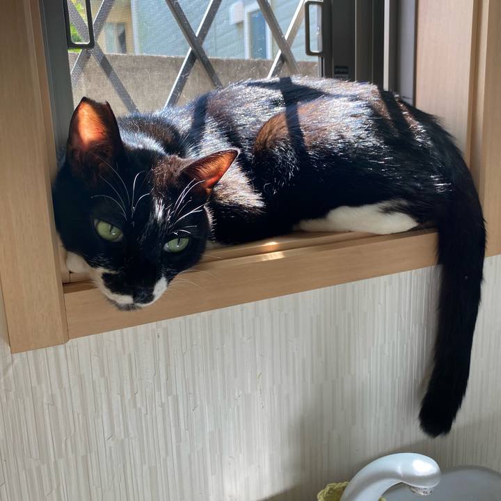 D1b308ab 91d2 4d59 8a70 5b6293c7e175 1659457277895