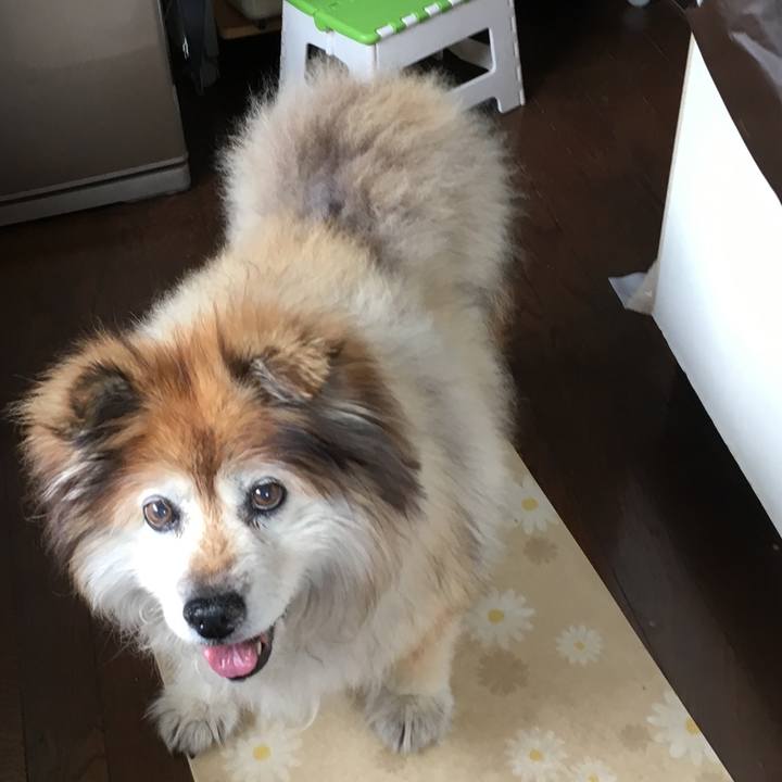 D1b31d7a 1950 40d6 8a50 3e71bb88327f 1574674300118