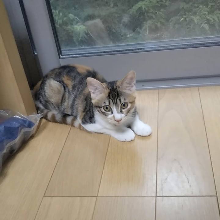 D1b37b07 1cef 4af9 9988 583c1f6f1b06 1629584404437