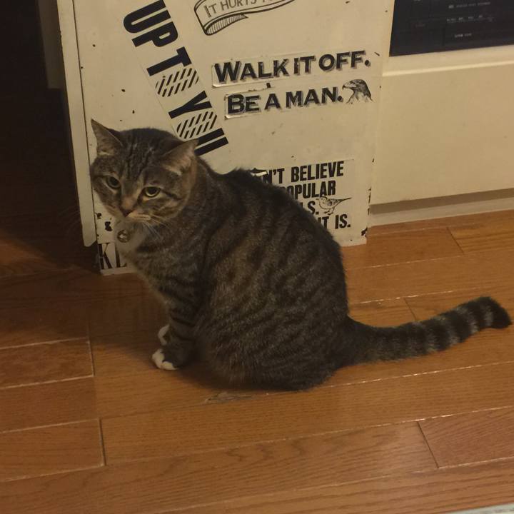 D1b3930c d060 4a77 80d6 7d6da638900b 1559826600420