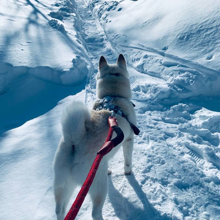 D1b397f9 58cf 4c56 b4af 1118021313b2 1644466044191