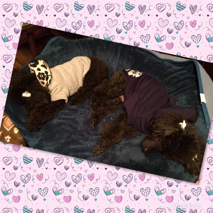 D1b3c6a4 3d55 496a 895e c9125bcba397 1553967621106